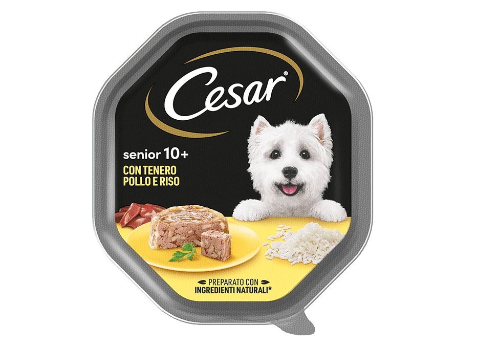 Cesar Senior 10+ con Pollo e Riso 150gr - Alimento Umido per Cani Anziani Cesar Senior 10+ con Pollo e Riso 150gr - Alimento Umido per Cani Anziani